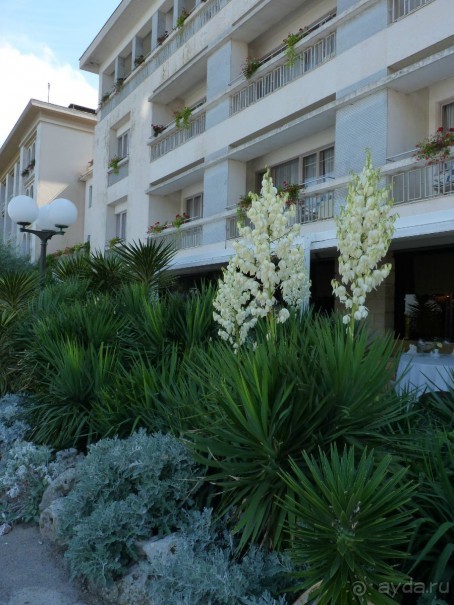 Бриуны! А что это за штучка....