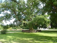 Начало. Восточная Чехия — проездом из Польши в Австрию; всегда есть что посмотреть.