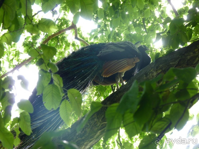 Начало. Восточная Чехия — проездом из Польши в Австрию; всегда есть что посмотреть.