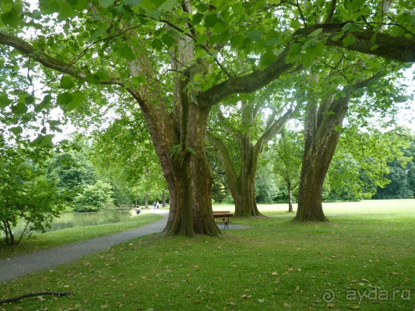 Начало. Восточная Чехия — проездом из Польши в Австрию; всегда есть что посмотреть.