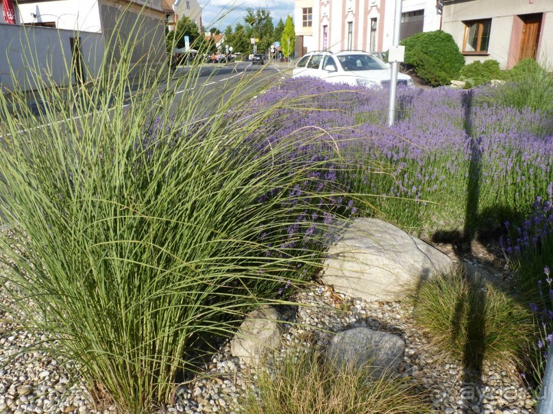 Начало. Восточная Чехия — проездом из Польши в Австрию; всегда есть что посмотреть.