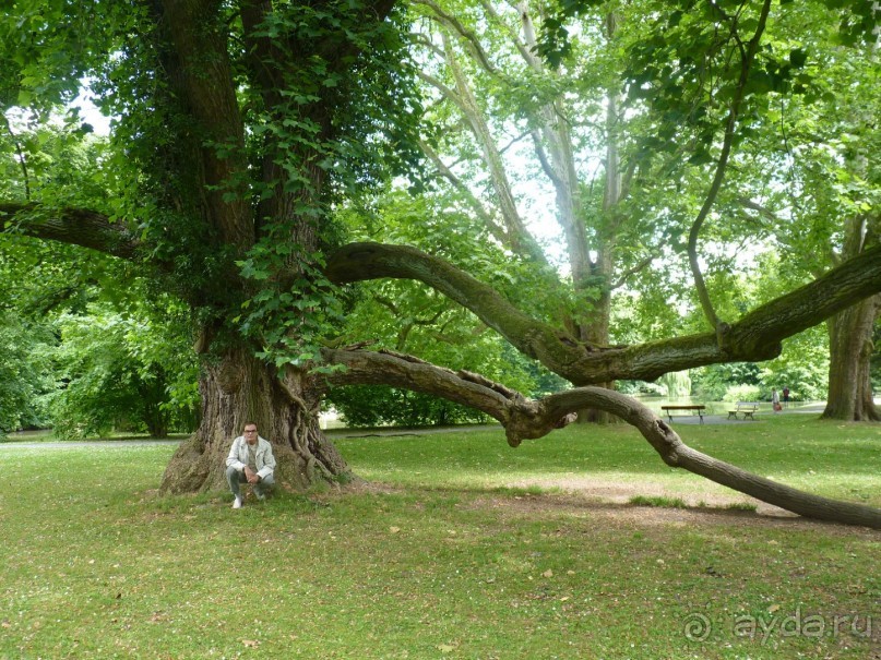 Начало. Восточная Чехия — проездом из Польши в Австрию; всегда есть что посмотреть.