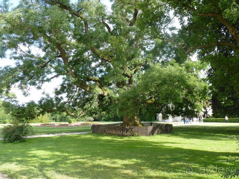 Начало. Восточная Чехия — проездом из Польши в Австрию; всегда есть что посмотреть.