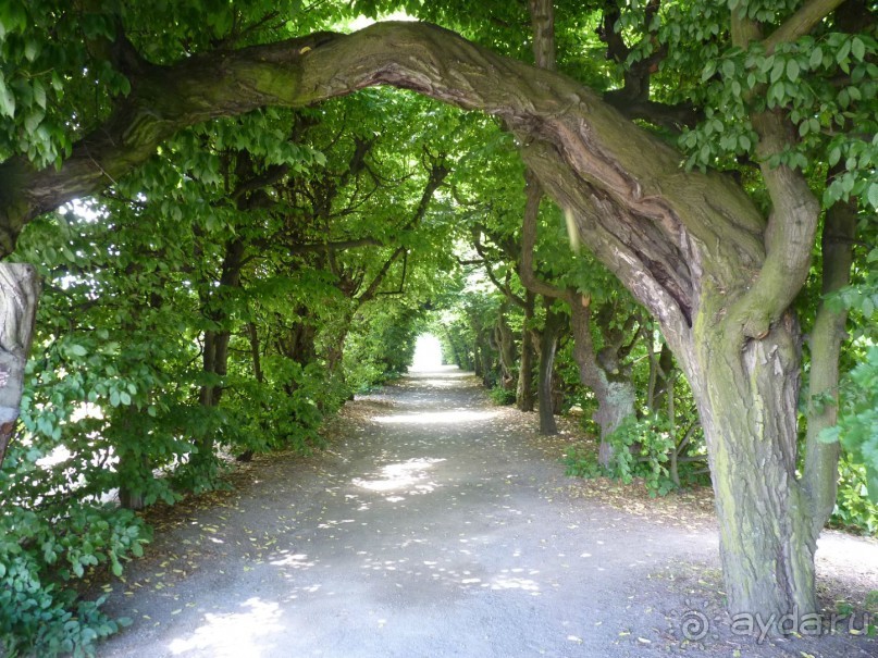 Начало. Восточная Чехия — проездом из Польши в Австрию; всегда есть что посмотреть.