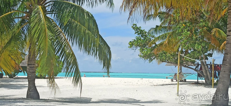 Этот отель заслуживает самых теплых слов в свой адрес