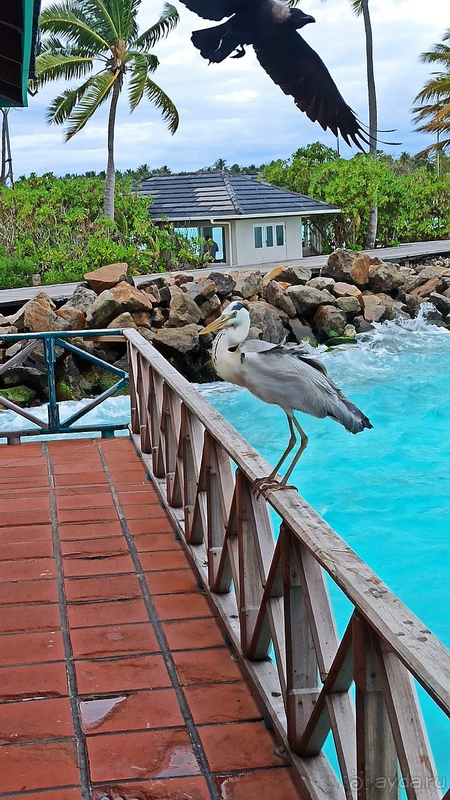 Этот отель заслуживает самых теплых слов в свой адрес