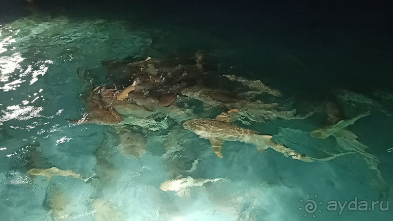 Этот отель заслуживает самых теплых слов в свой адрес