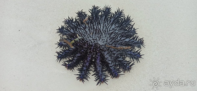 Этот отель заслуживает самых теплых слов в свой адрес