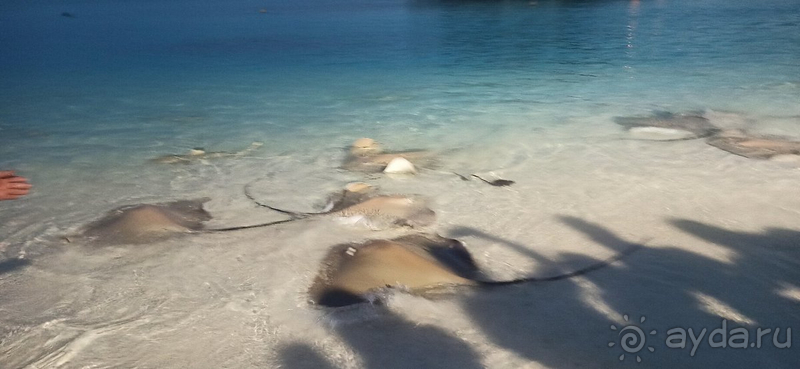 Этот отель заслуживает самых теплых слов в свой адрес