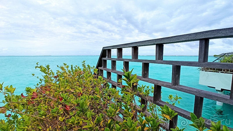 Этот отель заслуживает самых теплых слов в свой адрес