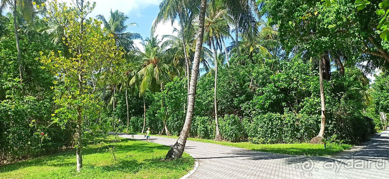 Этот отель заслуживает самых теплых слов в свой адрес