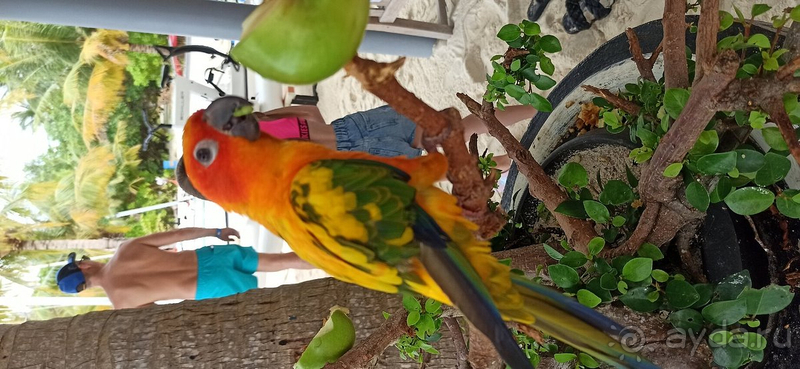 Этот отель заслуживает самых теплых слов в свой адрес