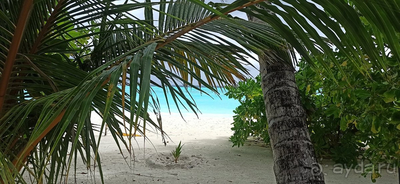 Этот отель заслуживает самых теплых слов в свой адрес