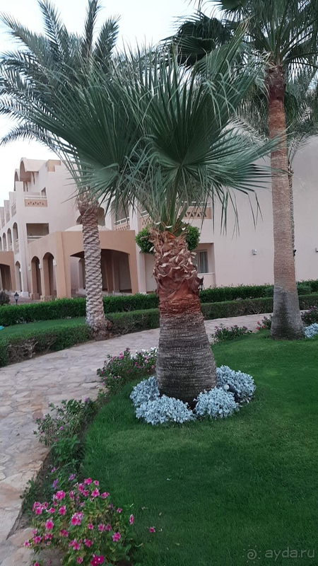 Отличный отель в Шарме