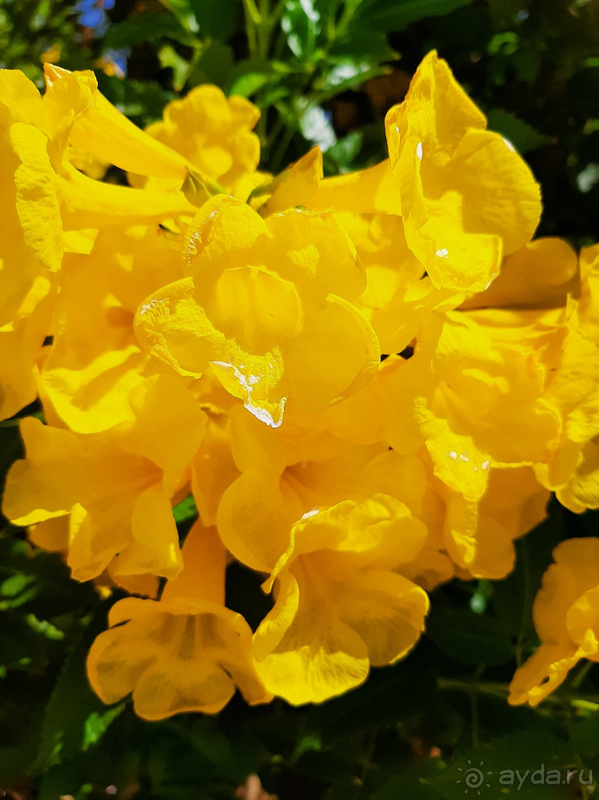 Отличный отель в Шарме