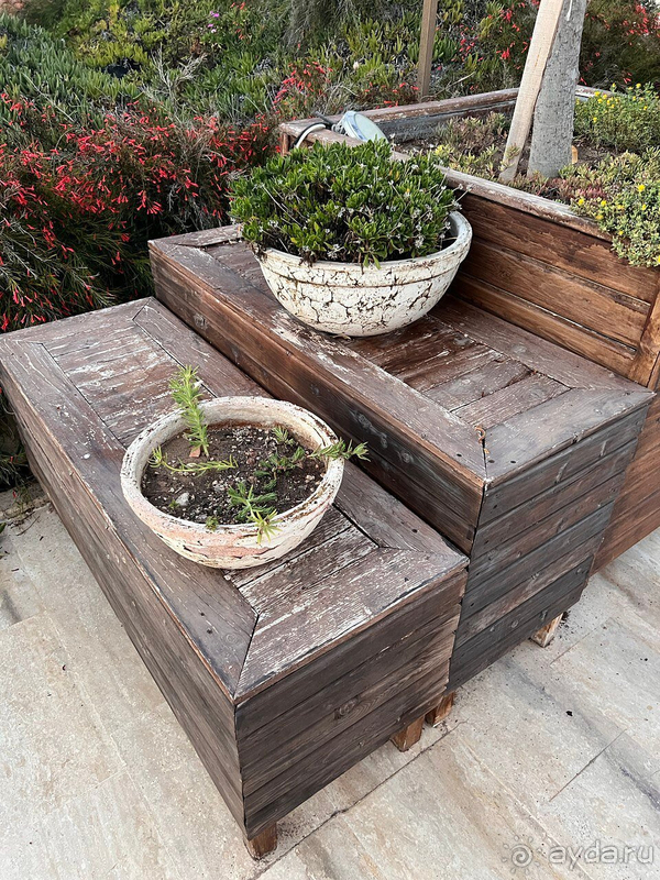 Отдых в Bellis Deluxe Hotel Belek