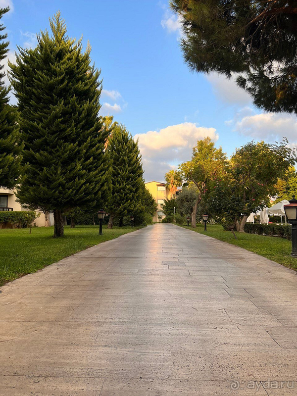 Отдых в Bellis Deluxe Hotel Belek