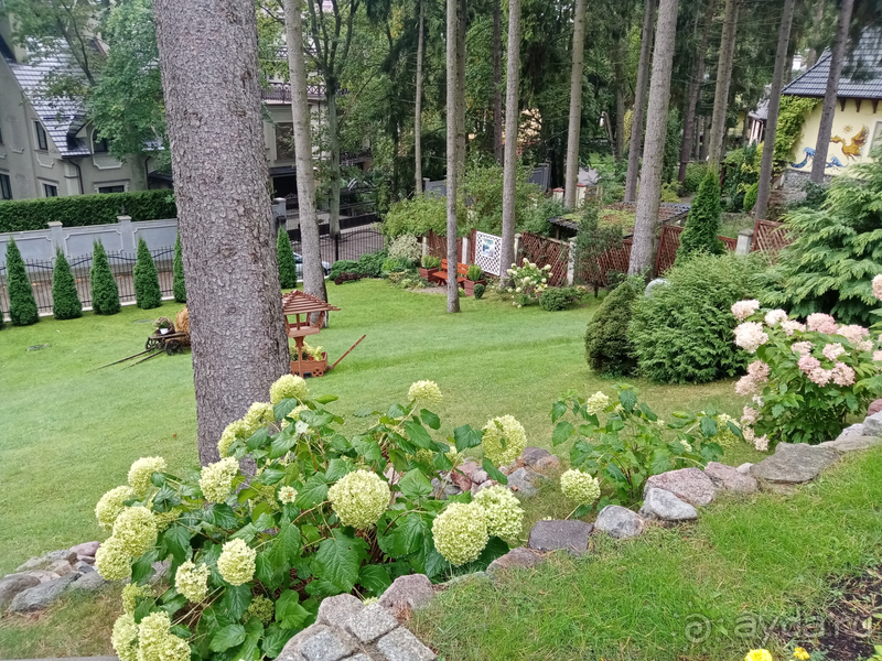 Отель Универсал / город Светлогорск / Калининградская область