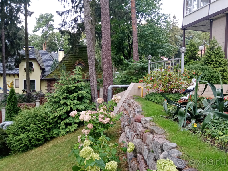 Отель Универсал / город Светлогорск / Калининградская область