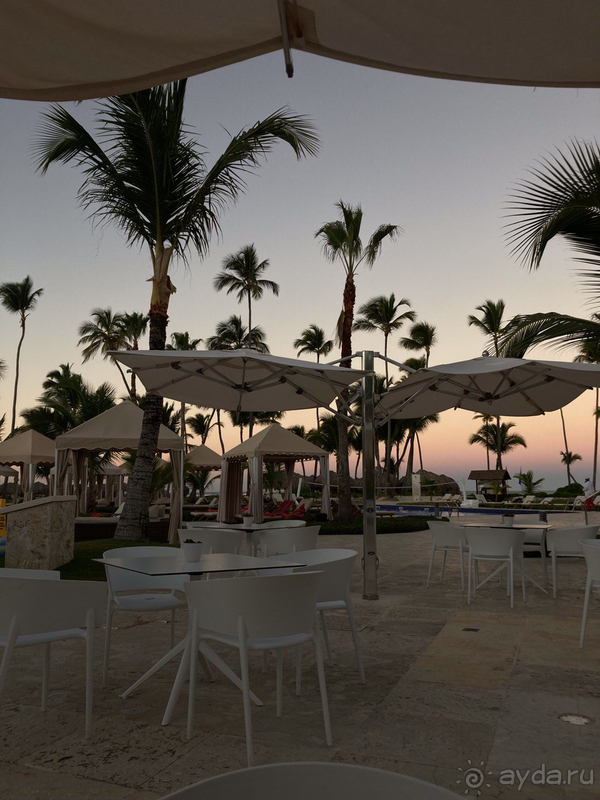 Отель Iberostar Grand Bavaro - мой лучший отдых