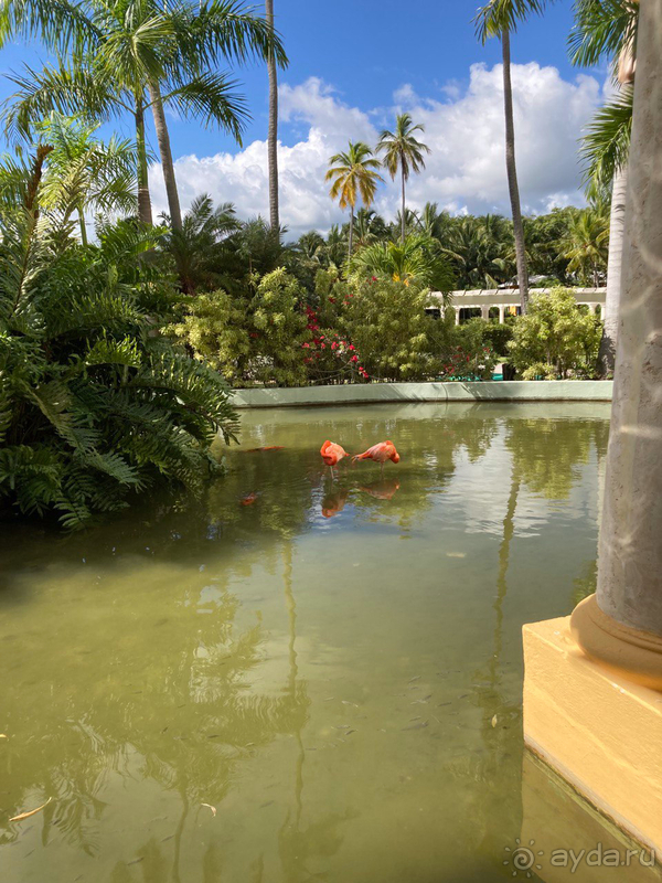 Отель Iberostar Grand Bavaro - мой лучший отдых