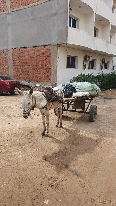 фото Elysees Dream Beach Hotel