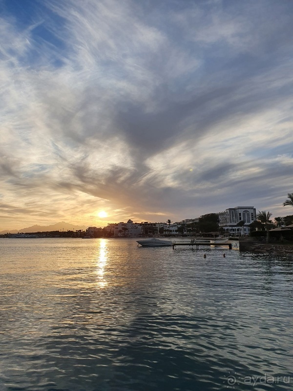 фото Elysees Dream Beach Hotel