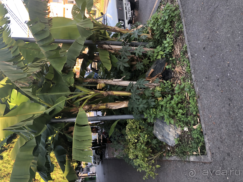 Отдых на берегу моря