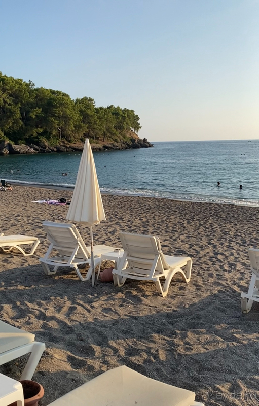 Великолепный отдых в Турции летом 2022 года!