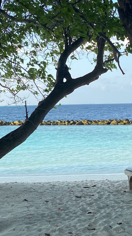 Первый раз на Мальдивах.