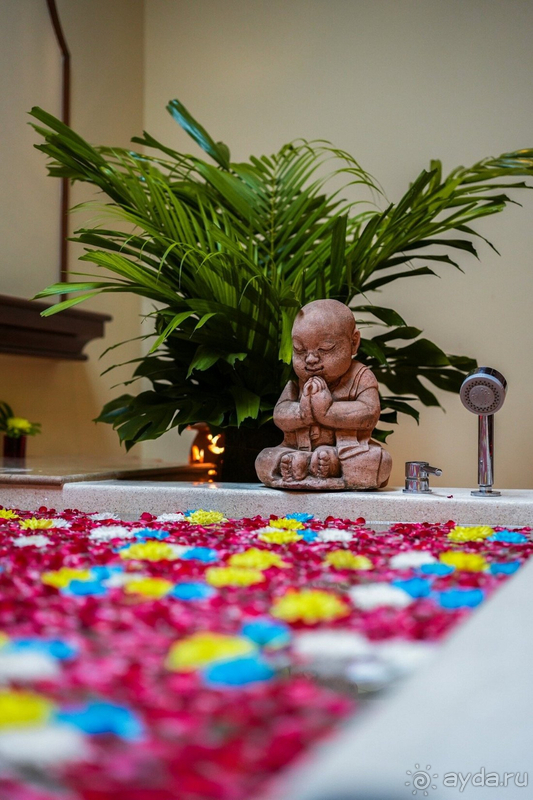 Потрясающееся место!