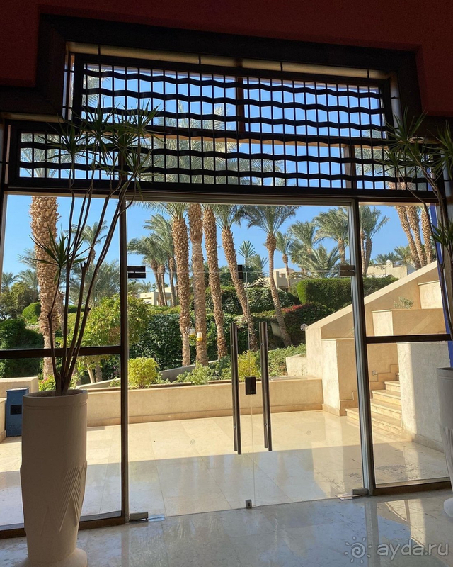 Отдых в Египте нам запомнится надолго!