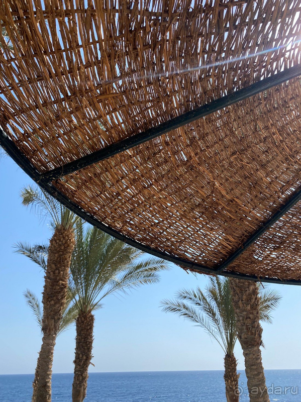 Отдых в Египте нам запомнится надолго!