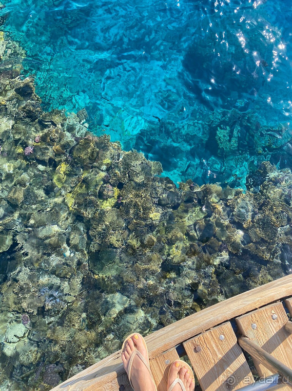 Отдых в Египте нам запомнится надолго!