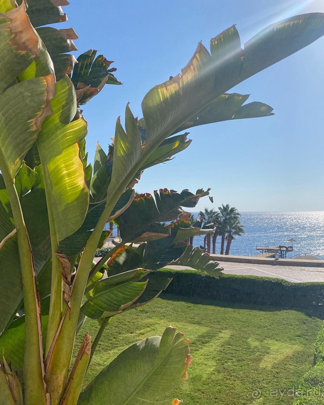 Отдых в Египте нам запомнится надолго!