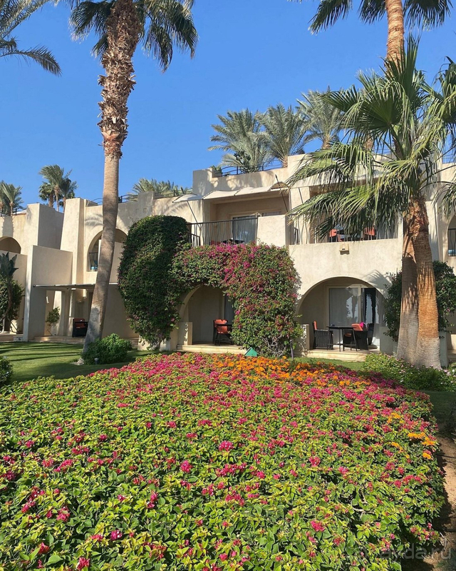 Отдых в Египте нам запомнится надолго!