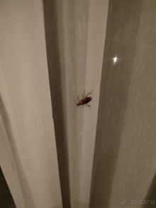 Прекрасный отель в Шарме