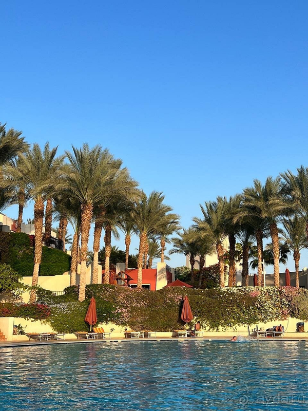 Прекрасный отель в Шарме