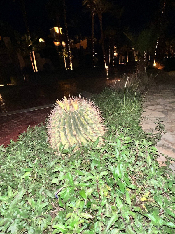 Прекрасный отель в Шарме