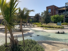 Hayatt Cetric Jumeirah Dubai