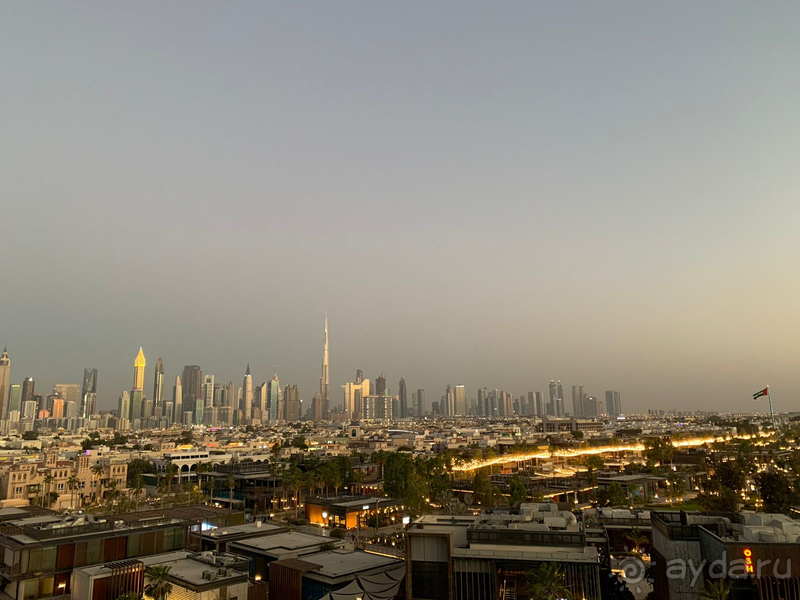 Hayatt Cetric Jumeirah Dubai