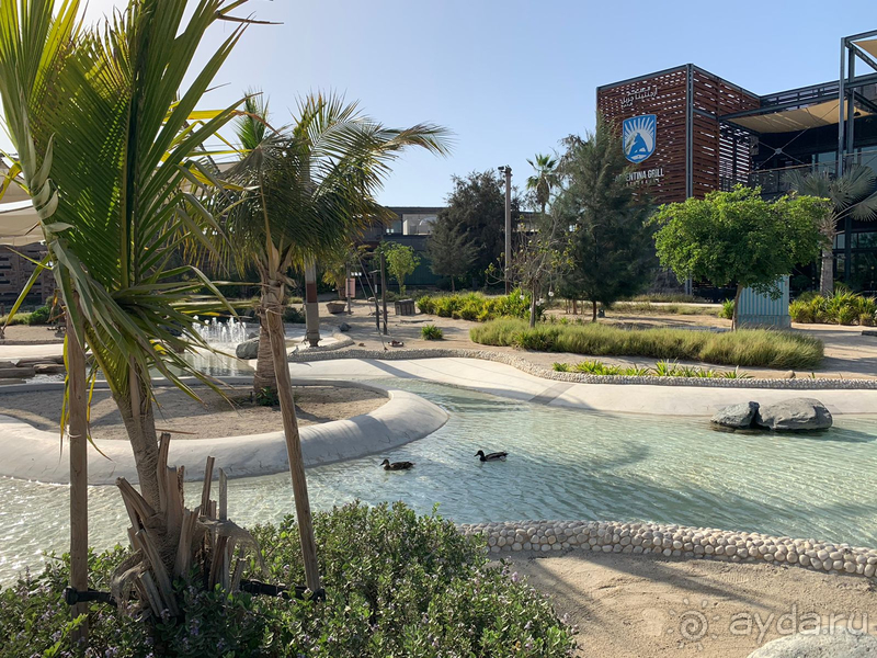 Hayatt Cetric Jumeirah Dubai