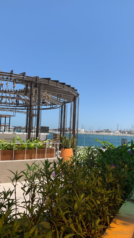 Hayatt Cetric Jumeirah Dubai