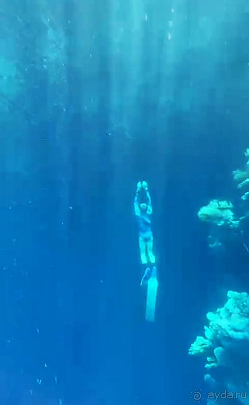 Понырять это сюда, а развлечения и сервис точно мимо!)