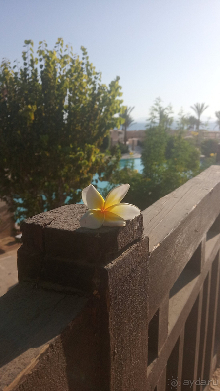 Понырять это сюда, а развлечения и сервис точно мимо!)