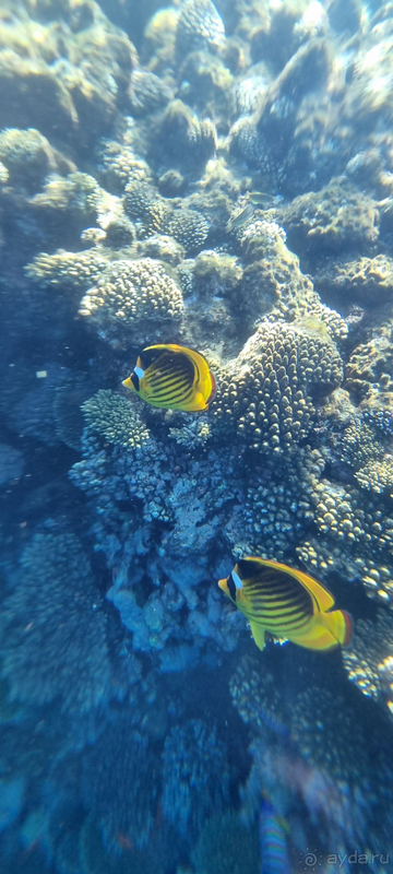 Достойный отель для спокойного, размеренного отдыха