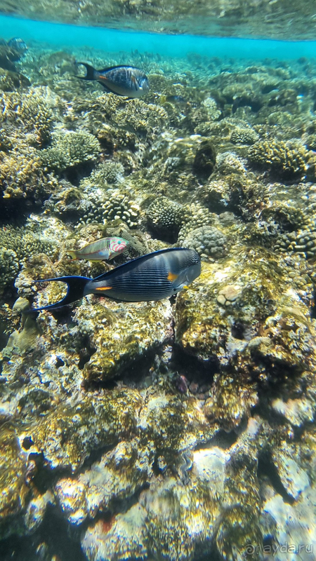 Достойный отель для спокойного, размеренного отдыха Достойный отель для спокойного, размеренного отдыха