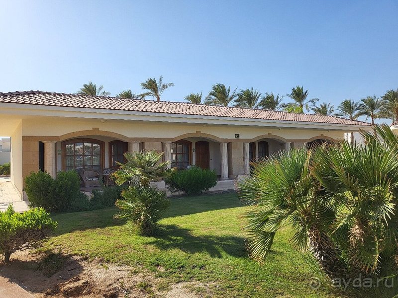 Отличный отдых в Египте!