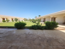 Отличный отдых в Египте!