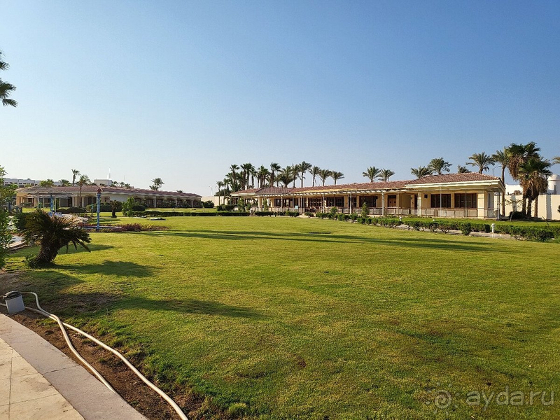 Отличный отдых в Египте!